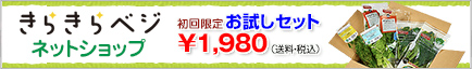 きらきらベジ　ネットショップ　初回限定！きらきらベジお試しセット。送料込み