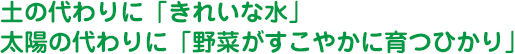 土の代わりに「きれいな水」　太陽の代わりに「野菜がすこやかに育つひかり」